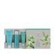 Artistry Skin Nutrition&trade; Мини-набор средств для подтяжки кожи Амвей 439629 439629 фото 1